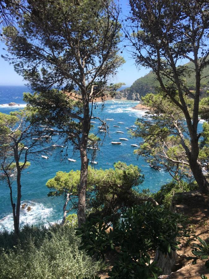 Cap Sa Sal Navy, Begur, Girona 아파트 외부 사진